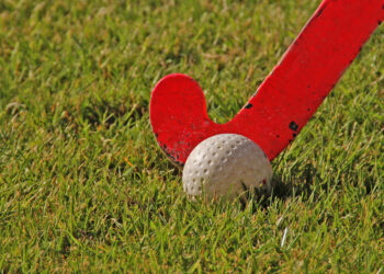 Skaterhockey-der-Sommersport