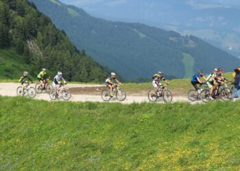 Sport, Gruppe