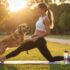 haustierbetriebene canine Fitnessroutinen